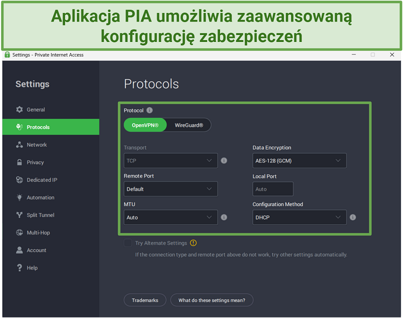 Screenshot of PIA's highly customizable security settings