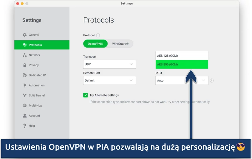 Screenshot showing the customization options on PIA's Settings menu