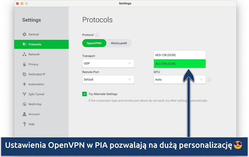 Screenshot showing the customization options on PIA's Settings menu