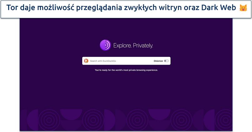 Screenshot of the Tor Browser homepage