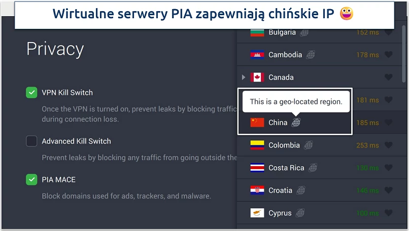 Screenshot of PIA's privacy settings and virtual servers in the app